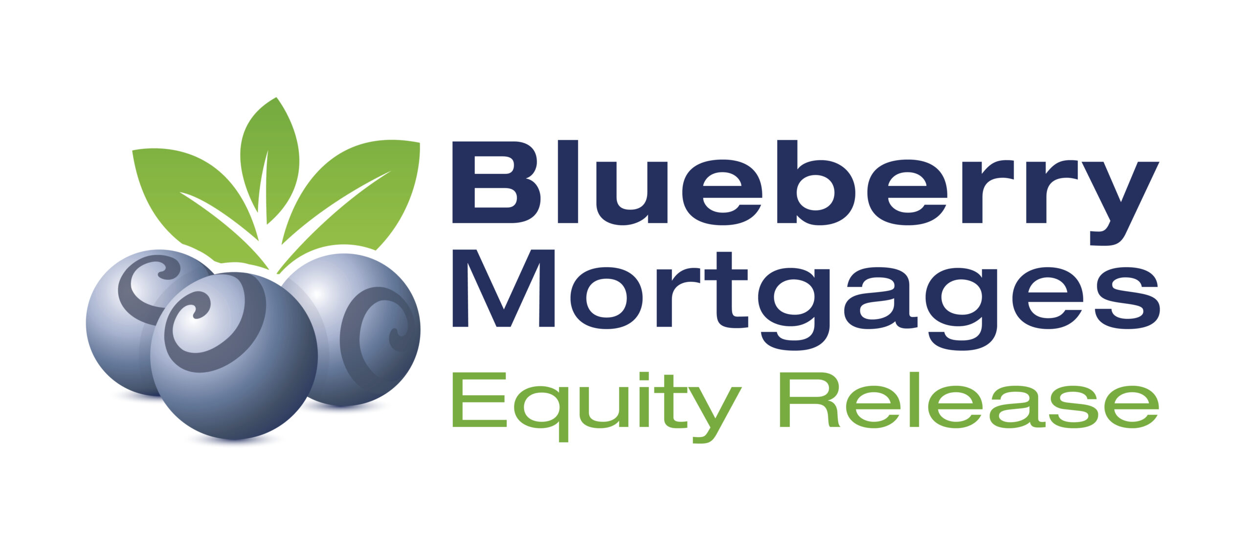 Blueberry Logo Equity Release